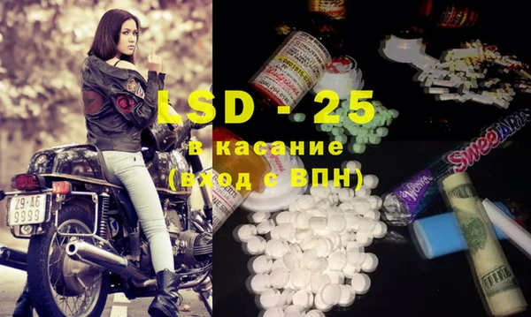 PSILOCYBIN Майский
