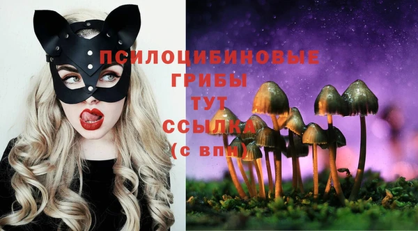 mix Магас