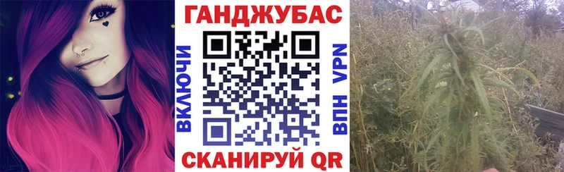 Конопля SATIVA & INDICA  hydra сайт  Торопец  купить наркоту 